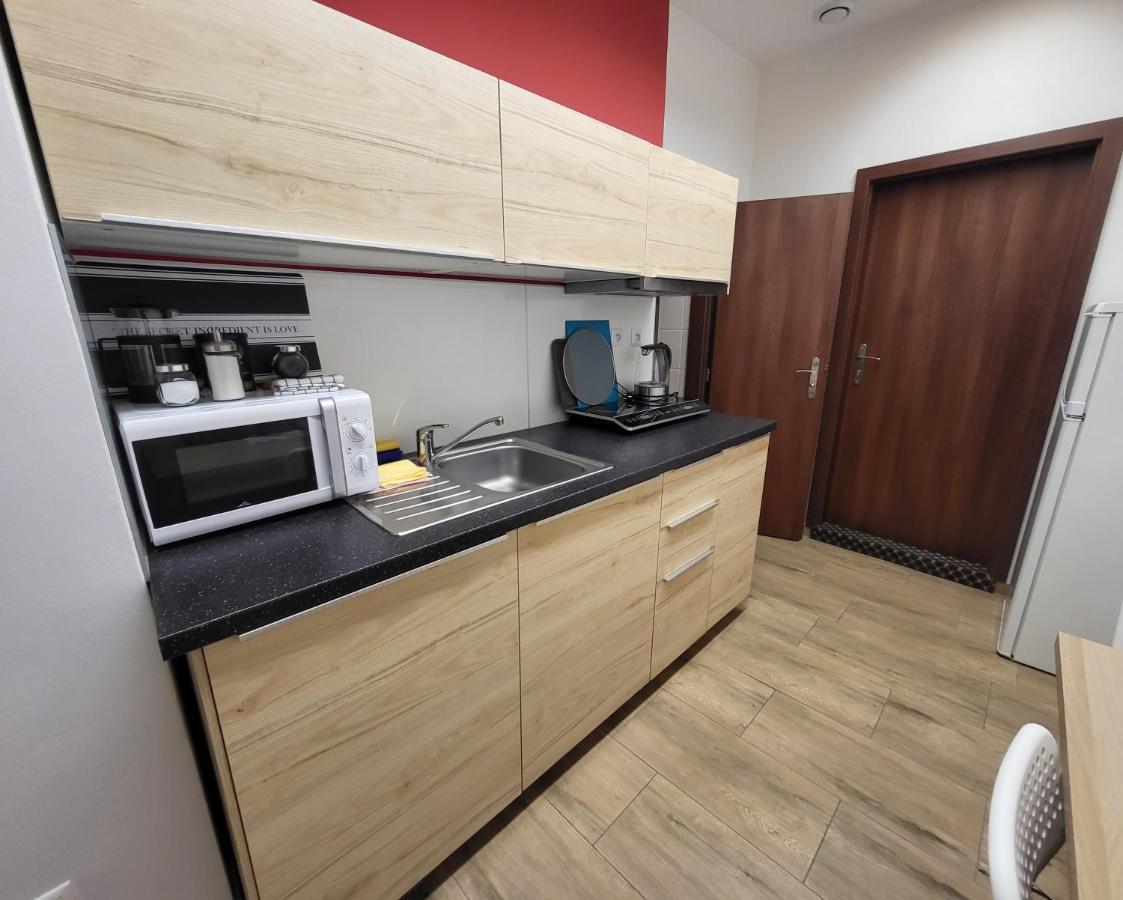 Excellent Apartments In Spa City Center 5 Min Walk From The Colonnade カルロヴィ・ヴァリ エクステリア 写真