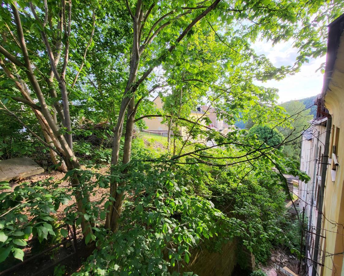 Excellent Apartments In Spa City Center 5 Min Walk From The Colonnade カルロヴィ・ヴァリ エクステリア 写真