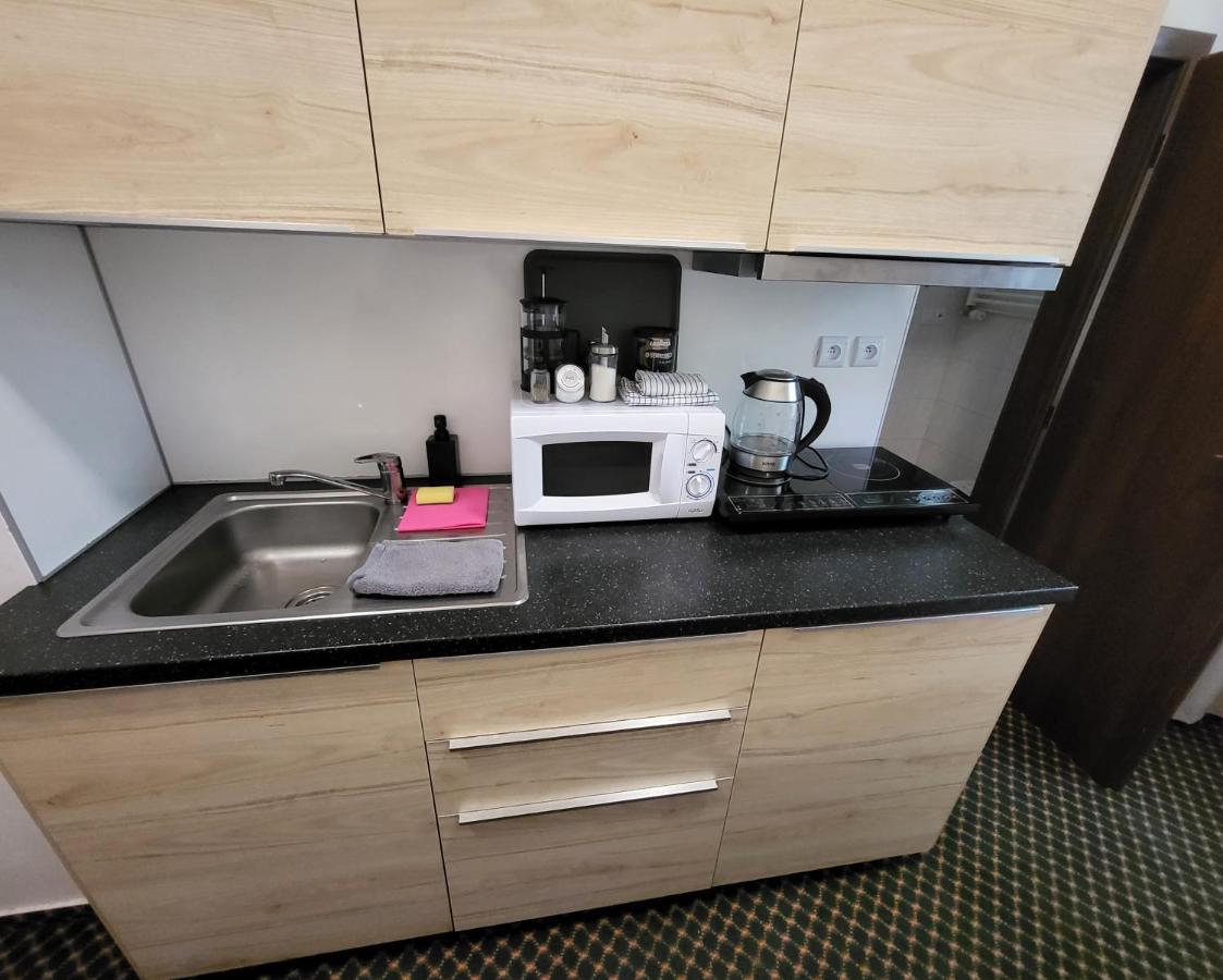 Excellent Apartments In Spa City Center 5 Min Walk From The Colonnade カルロヴィ・ヴァリ エクステリア 写真
