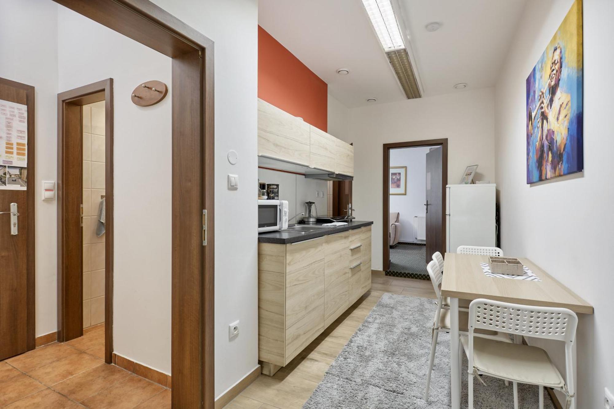 Excellent Apartments In Spa City Center 5 Min Walk From The Colonnade カルロヴィ・ヴァリ エクステリア 写真