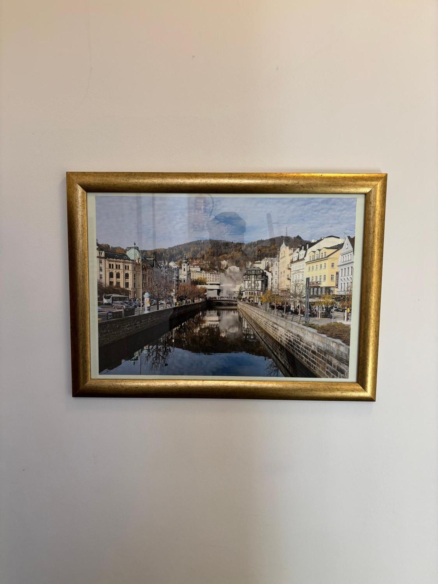 Excellent Apartments In Spa City Center 5 Min Walk From The Colonnade カルロヴィ・ヴァリ エクステリア 写真